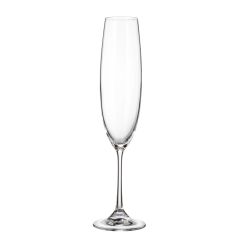 Milvus Champagne Flute 250ml