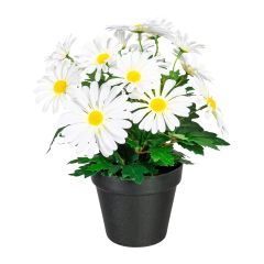 Artificial Potted Daisies at Guineys Ireland