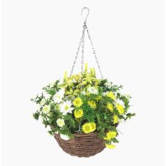 Bellis Perennis Daisy Hanging Basket