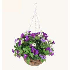 Petunia Hanging Basket