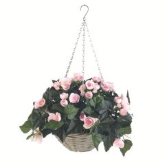 Begonia Hanging Basket