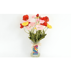 Sunburst Poppies in Glass Vase