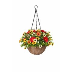 Artificial hanging basket with red yellow orange and white chrysanthemum flowers in wicker basket on white background