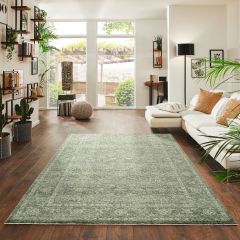 Vintage green distressed area rug displayed in a bright modern living room with a soft faded traditional pattern, perfect for living rooms, bedrooms and contemporary interiors.