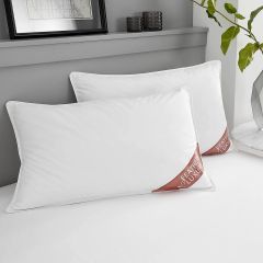 Duck Feather Pillow Pair by Gaveno Cavailia