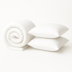 Duvet And 2 Pillow Set on Plain background