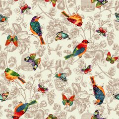 Upholstery Fabric Eden Butterfly & Birds Design 173 at Guineys Ireland