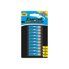 AAA Extra Heavy Duty Batteries 10 Pack