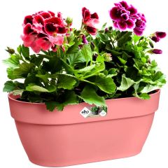 Elho pink rectangular balcony planter with red and purple geraniums on white background