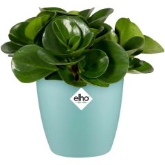 Elho B.For Soft Round Plant Pot in Leaf Green – modern matte cylindrical indoor planter with smooth finish