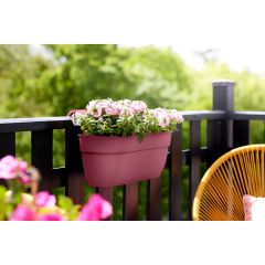 Elho Vibia Campana Easy Hanger dusty pink railing planter with pink verbena flowers on a dark balcony railing, outdoor lifestyle