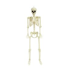 Hanging Skeleton Halloween Decoration 160cm