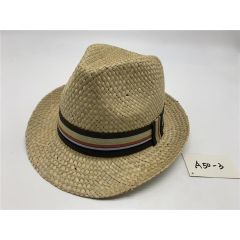 Straw Hat with Multi Band