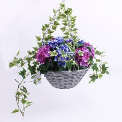 Hydrangea 12'' Hanging Basket