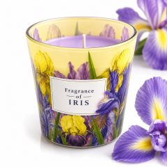 Iris Fragrance Candle