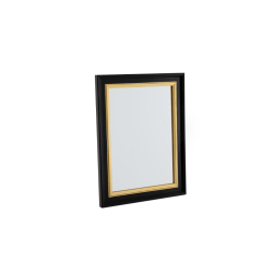 Bohome Black & Gold Framed Mirror