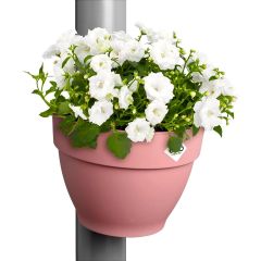 Pink balcony rail planter pot with white petunia flowers mounted on a drainpipe