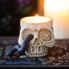 A lit candle shaped like a skull with a blue snake emerging from its eye socket, placed on a decorative surface.
