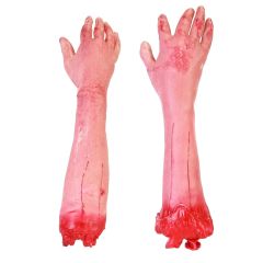 Severed Arm Prop - Assorted