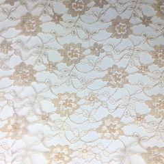 Embroidered Lace Fabric Cream