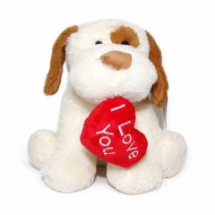 Valentine's Teddys Ireland